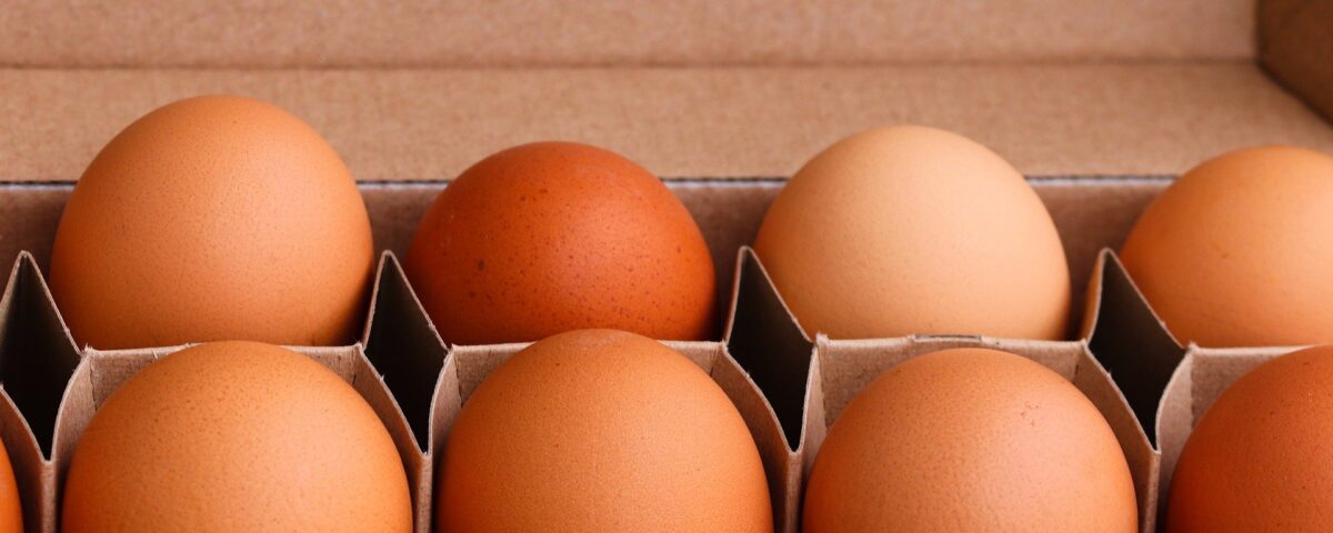 proprietà nutrizionali delle uova